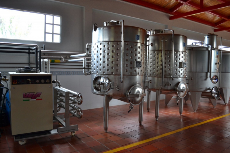 cave-MONS-min_wine_production_cantine_winery_drink_alcohol_vine_beverage-902036